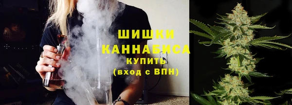 apvp Белокуриха