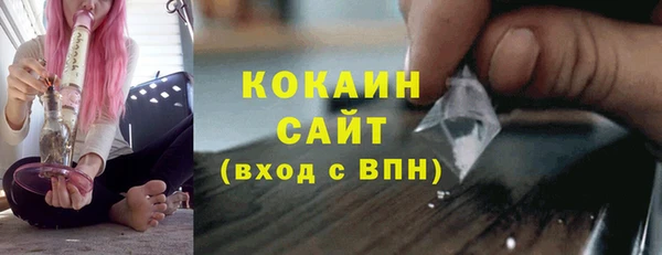 стаф Балахна